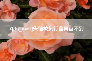 攸县失信被执行官网查不到