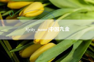 攸县中国九金