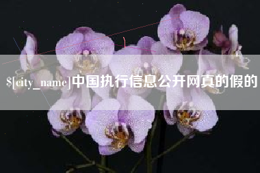 攸县中国执行信息公开网真的假的