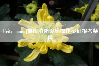 攸县重庆消防设施操作员证报考条件