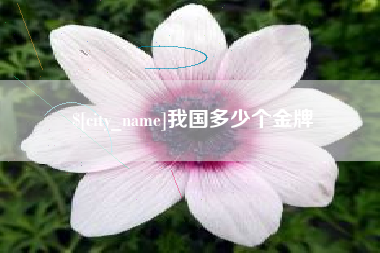 攸县我国多少个金牌