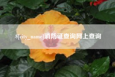 攸县消防证查询网上查询