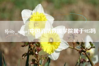 攸县中国消防救援学院属于985吗