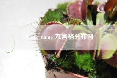 攸县九宫格分布图