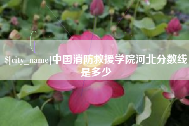攸县中国消防救援学院河北分数线是多少