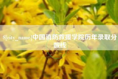 攸县中国消防救援学院历年录取分数线