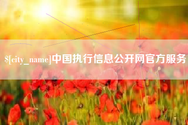 攸县中国执行信息公开网官方服务