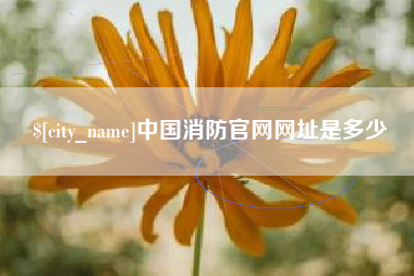 攸县中国消防官网网址是多少