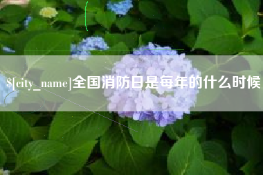 攸县全国消防日是每年的什么时候