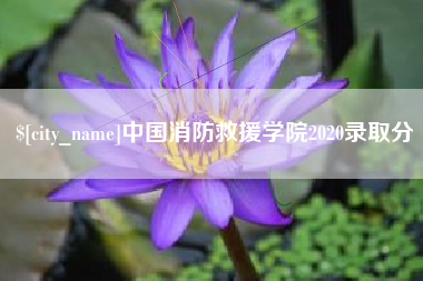 攸县中国消防救援学院2020录取分