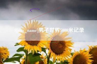 攸县男子世界5000米记录