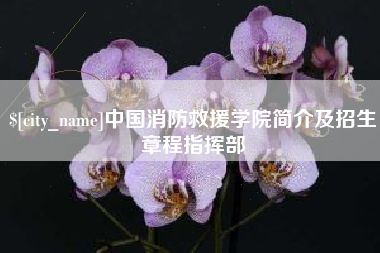 攸县中国消防救援学院简介及招生章程指挥部