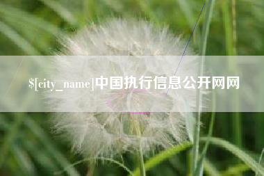 攸县中国执行信息公开网网