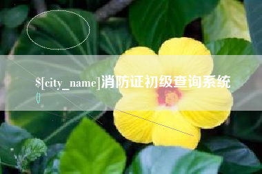 攸县消防证初级查询系统