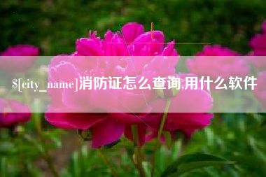 攸县消防证怎么查询,用什么软件