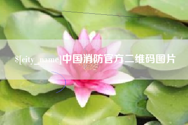 攸县中国消防官方二维码图片