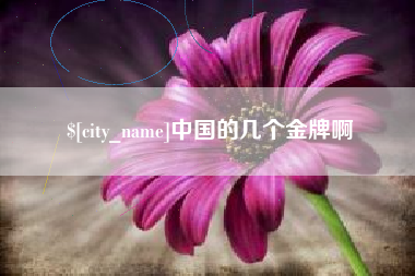 攸县中国的几个金牌啊