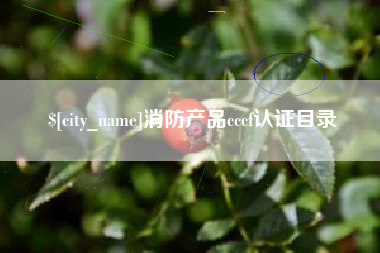攸县消防产品cccf认证目录