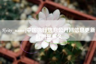 攸县中国执行信息公开网信息更新时间是多久