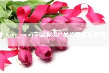 攸县中国消防产品质量信息查询