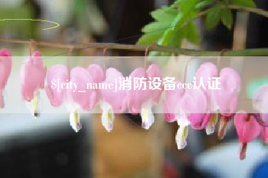 攸县消防设备ccc认证