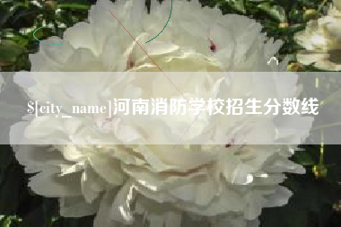 攸县河南消防学校招生分数线