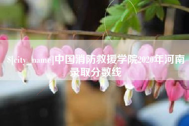攸县中国消防救援学院2020年河南录取分数线