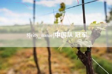 攸县中国队 冠军