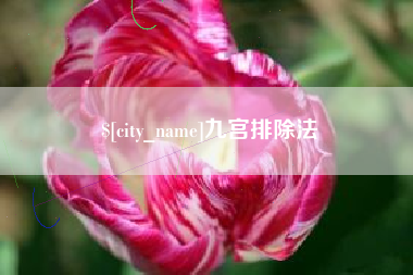 攸县九宫排除法