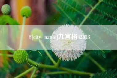 攸县九宫格42633