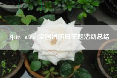 攸县全国消防日主题活动总结