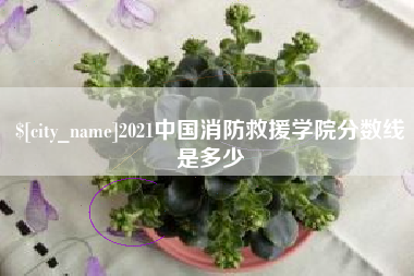 攸县2021中国消防救援学院分数线是多少
