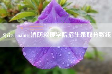 攸县消防救援学院招生录取分数线