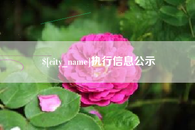 攸县执行信息公示