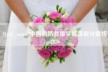 攸县中国消防救援学院录取分数线2020