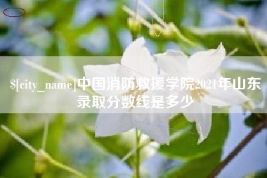 攸县中国消防救援学院2021年山东录取分数线是多少