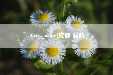 攸县成都 消防