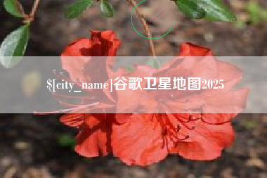 攸县谷歌卫星地图2025