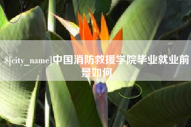 攸县中国消防救援学院毕业就业前景如何