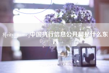 攸县中国执行信息公开网是什么东西