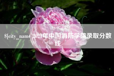 攸县2021年中国消防学院录取分数线