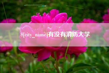 攸县有没有消防大学