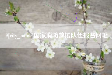 攸县国家消防救援队伍报名网址