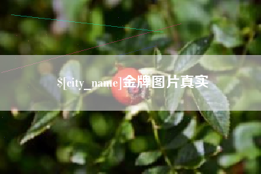 攸县金牌图片真实