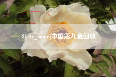 攸县中国第九金回放