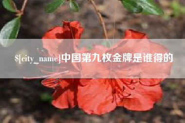 攸县中国第九枚金牌是谁得的
