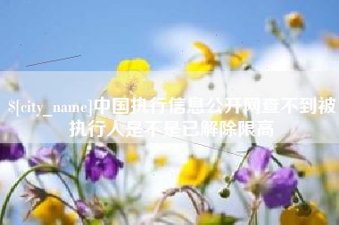 攸县中国执行信息公开网查不到被执行人是不是已解除限高