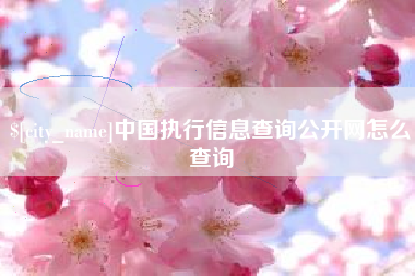 攸县中国执行信息查询公开网怎么查询
