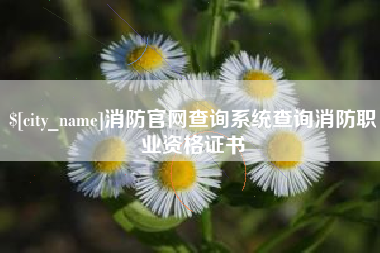 攸县消防官网查询系统查询消防职业资格证书