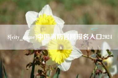 攸县中国消防官网报名入口2024